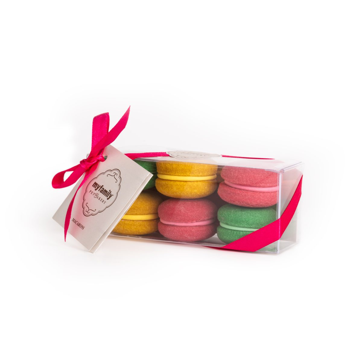 Galleria foto 'Cani e gatti a 5 stelle' - foto 7