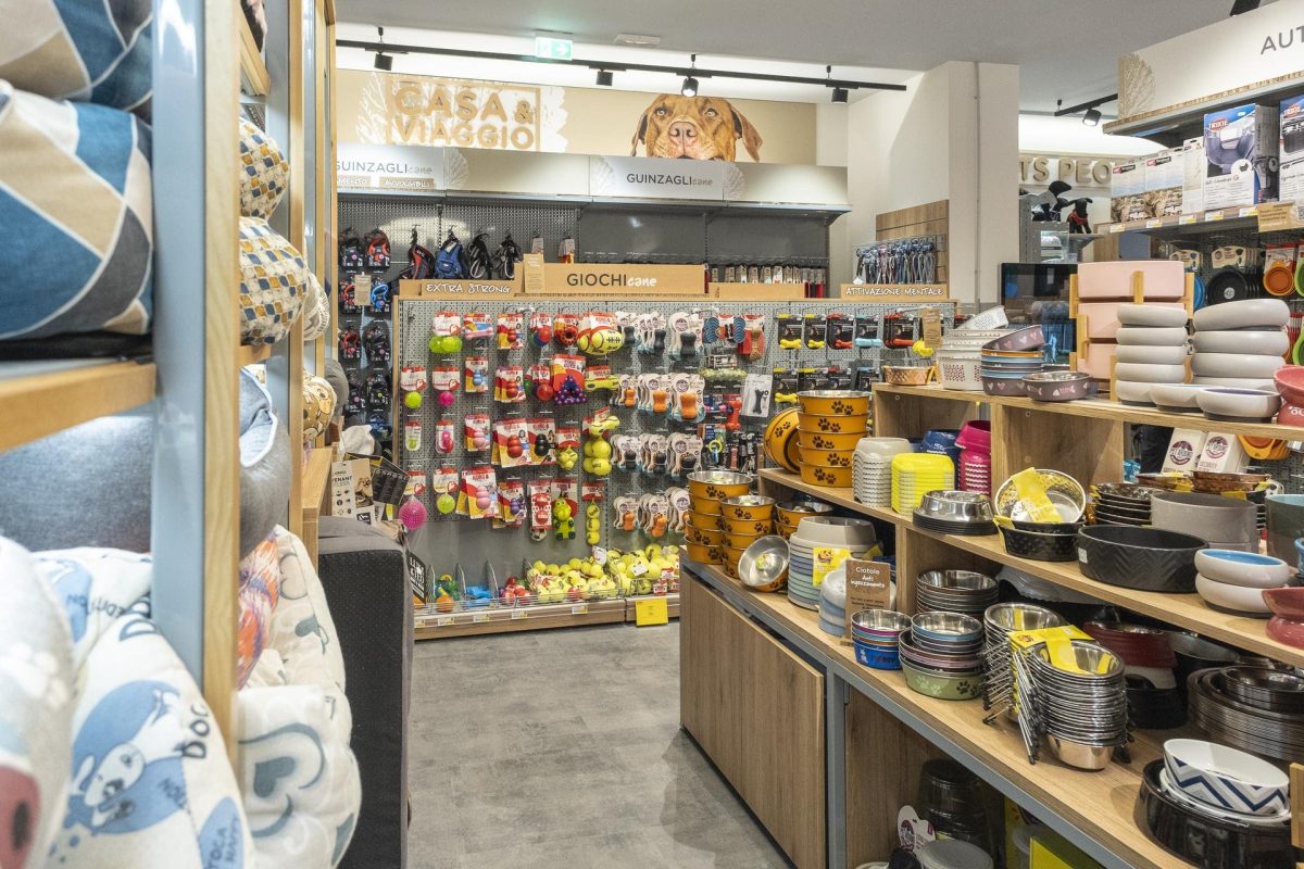 Galleria foto 'Cani e gatti a 5 stelle' - foto 10