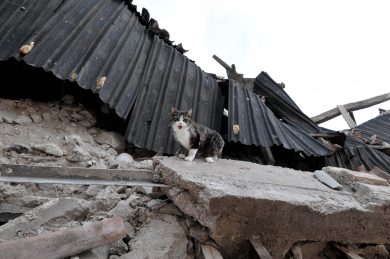 Occhio allo spiedino, potrebbe essere carne di gatto