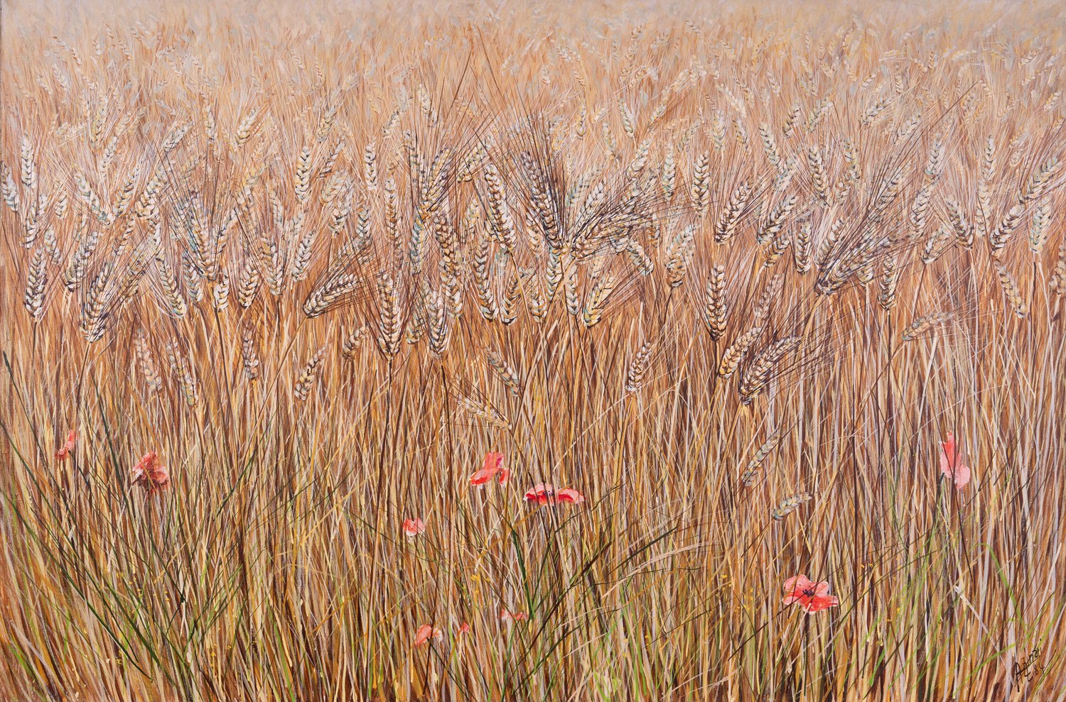 Franco Azzinari,  lasciar parlare il vento