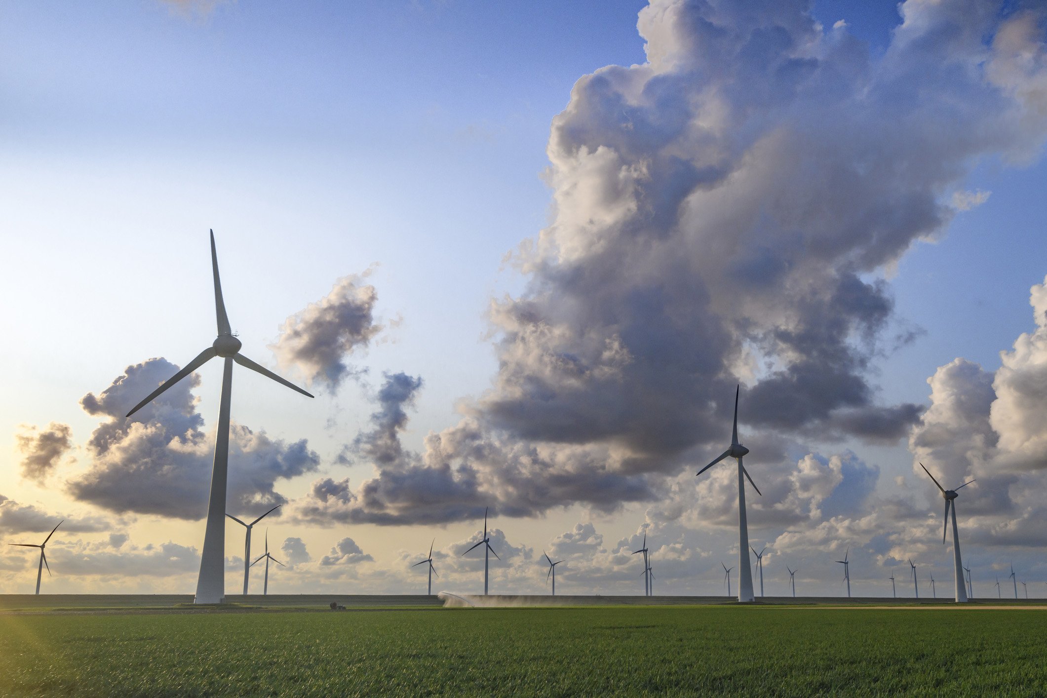 La farsa del green deal