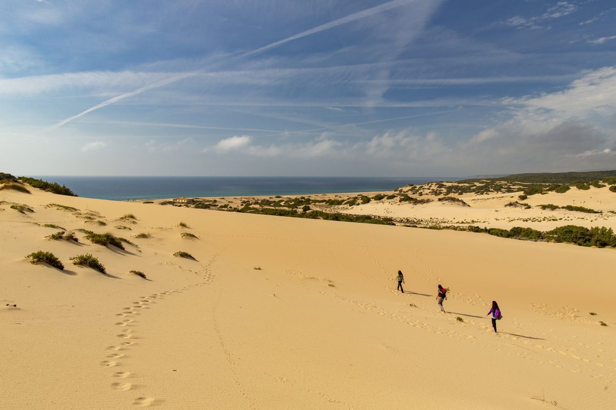 Galleria foto 'Alla scoperta della Sardegna d’autunno e d’inverno' - foto 2