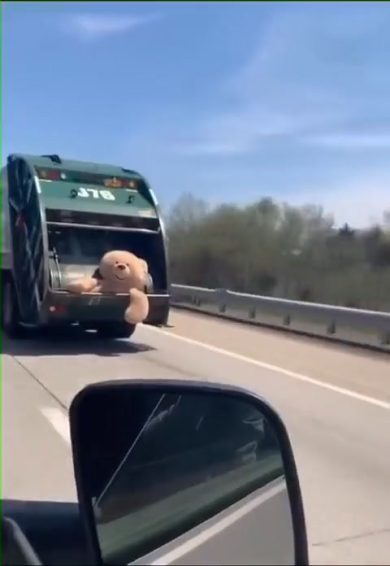 La triste fine del pelouche gigante | video