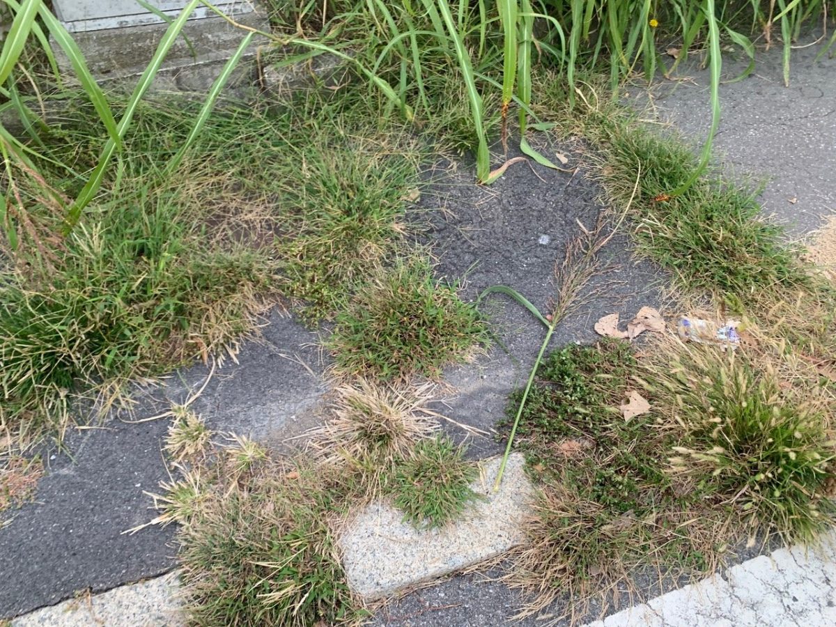 Galleria foto 'Chiaravalle, così  muore un borgo  milanese' - foto 5