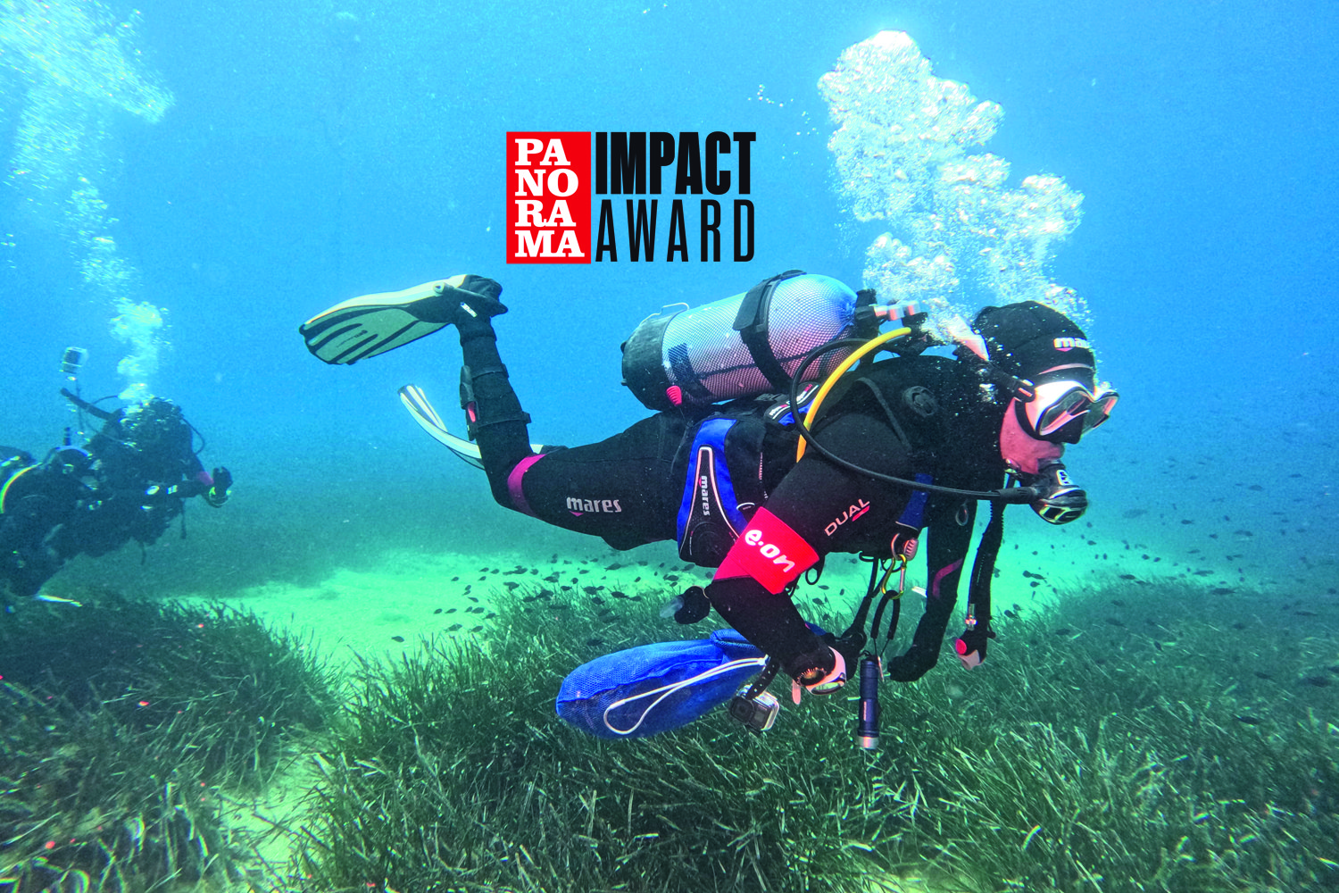 E.On – Aceri, Olmi e Posidonia Oceanica, ecco la svolta green