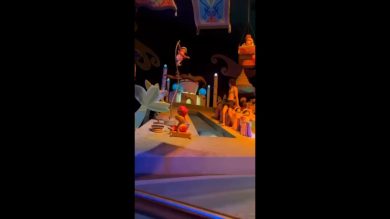 Disneyland California: uomo nudo passeggia nell’attrazione It’s a Small World | video