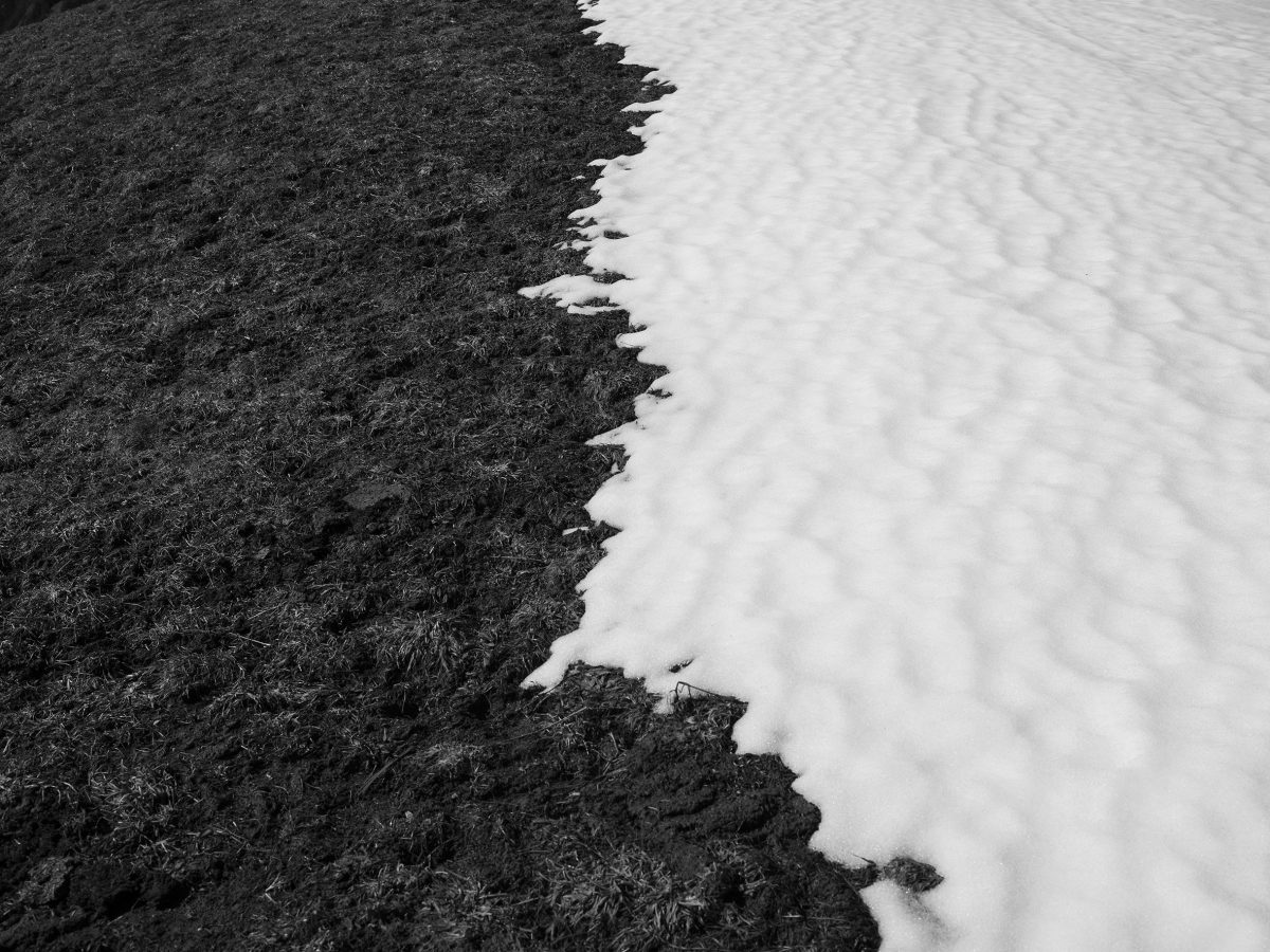 Paolo Pellegrin: «La fotografia potrebbe salvare il mondo»
