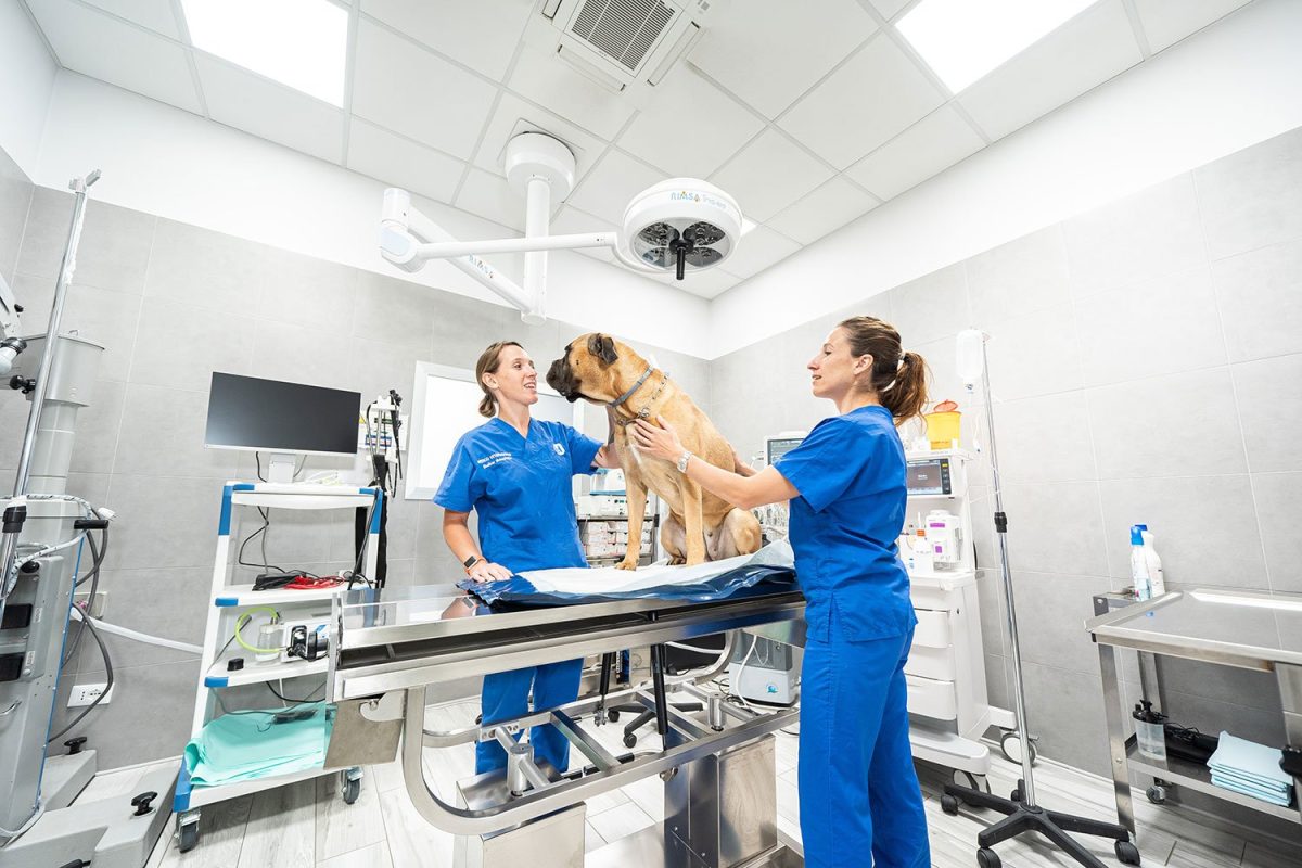 Galleria foto 'L’evoluzione green di Arcaplanet' - foto 7