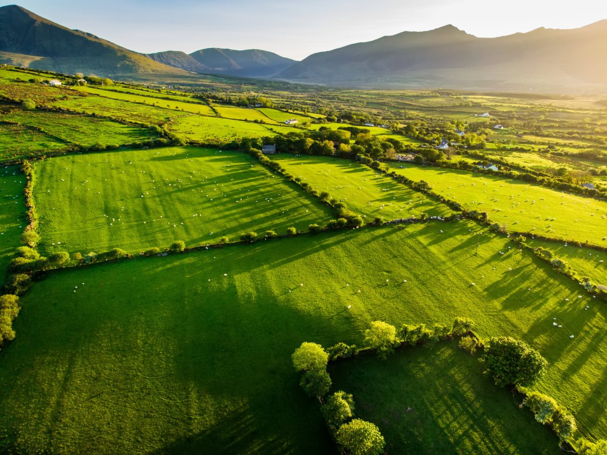 Galleria foto 'Metodo di lavoro e filosofia green dietro il successo dell’agroalimentare d’Irlanda' - foto 8