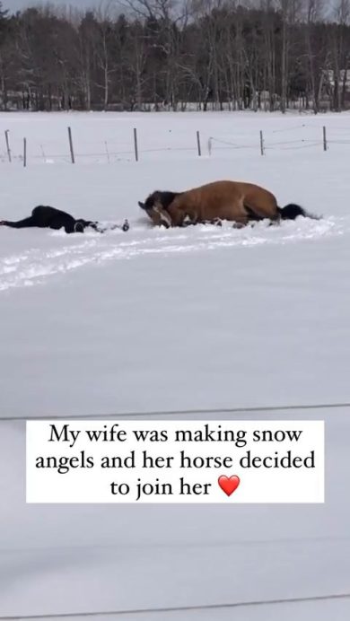 Il cavallo copia la sua padrona mentre fa un angelo nella neve | video