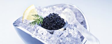 Caviale, l’afrodisiaco degli Zar e di Casanova: la scienza dietro il mito dell’«oro nero»”