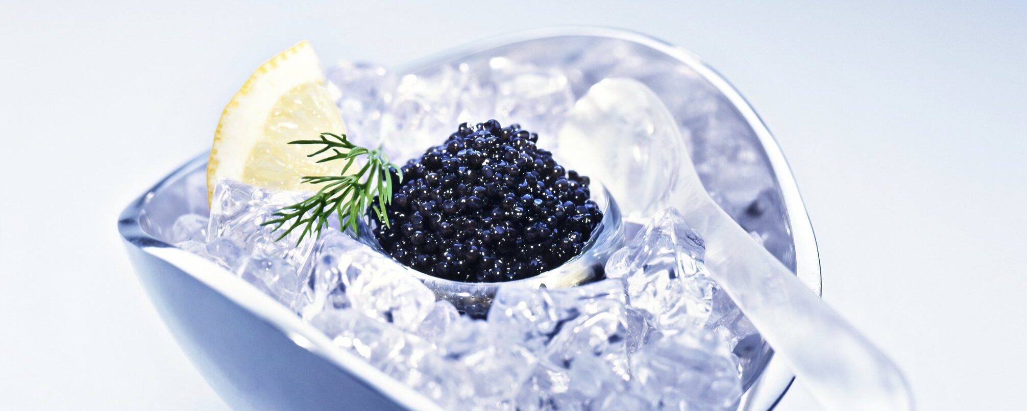 Caviale, l’afrodisiaco degli Zar e di Casanova: la scienza dietro il mito dell’«oro nero»”