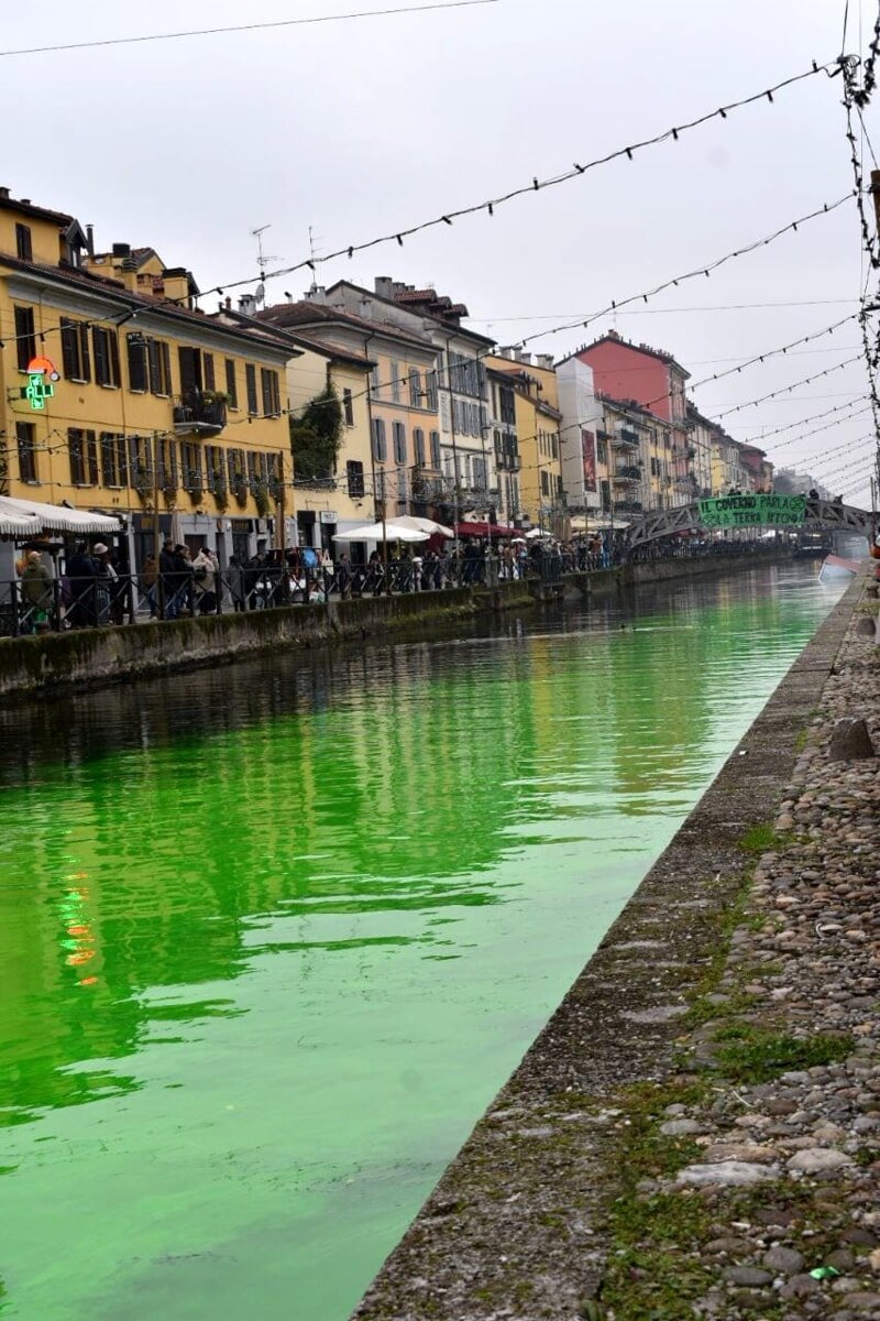 Roma, Milano, Venezia: le acque si colorano di verde. Colpa degli attivisti Roma, Milano, Venezia: le acque si colorano di verde. Colpa degli attivisti