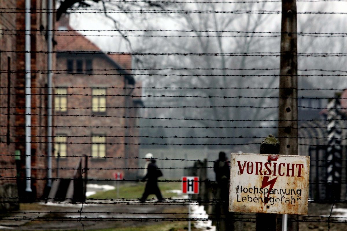 Galleria foto '27 gennaio: Il Giorno della Memoria | foto' - foto 1
