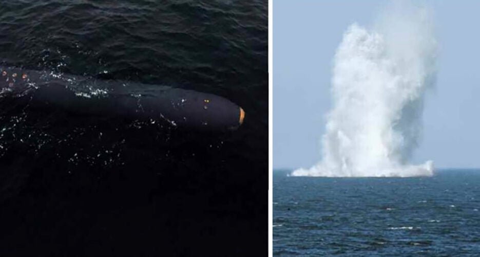 Il nuovo “giocattolo” di Kim Jong-un: un drone sommergibile che trasporta testate nucleari Il nuovo “giocattolo” di Kim Jong-un: un drone sommergibile che trasporta testate nucleari