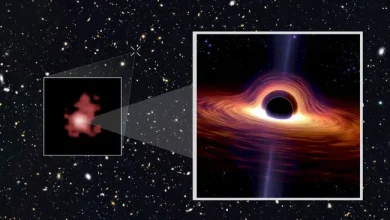 Allarme nello spazio: un buco nero si è mangiato la galassia Gn-z11
