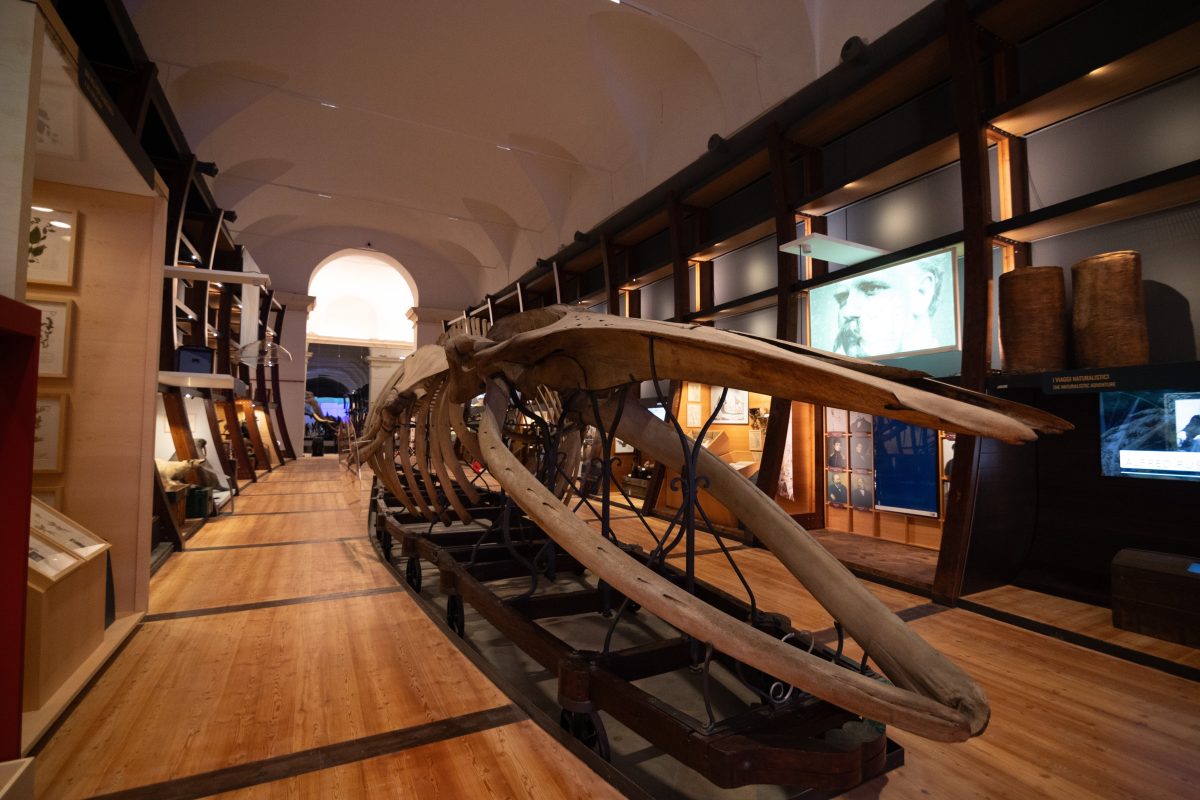 Galleria foto 'Torino riparte, il Piemonte decolla.' - foto 3