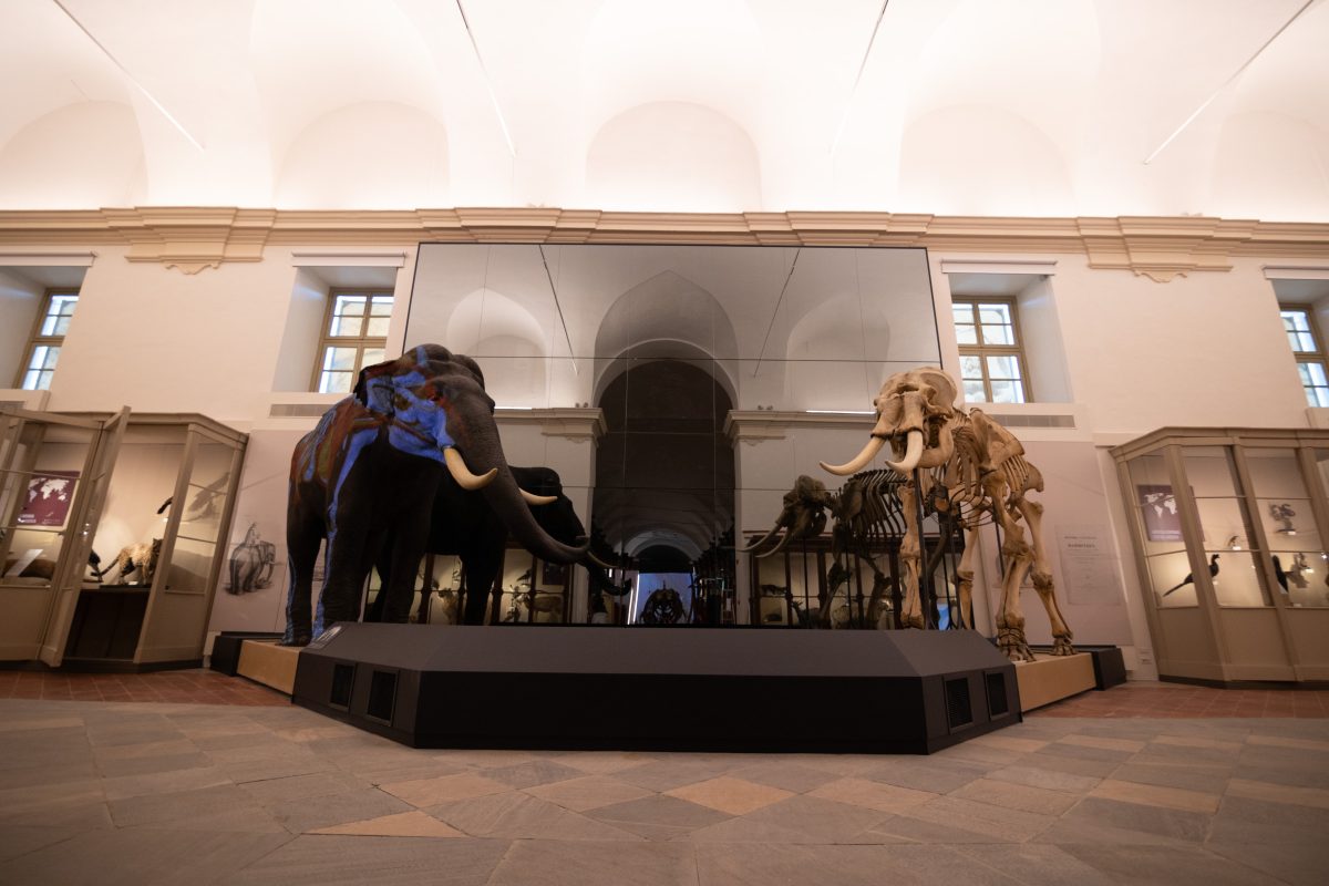 Galleria foto 'Torino riparte, il Piemonte decolla.' - foto 4