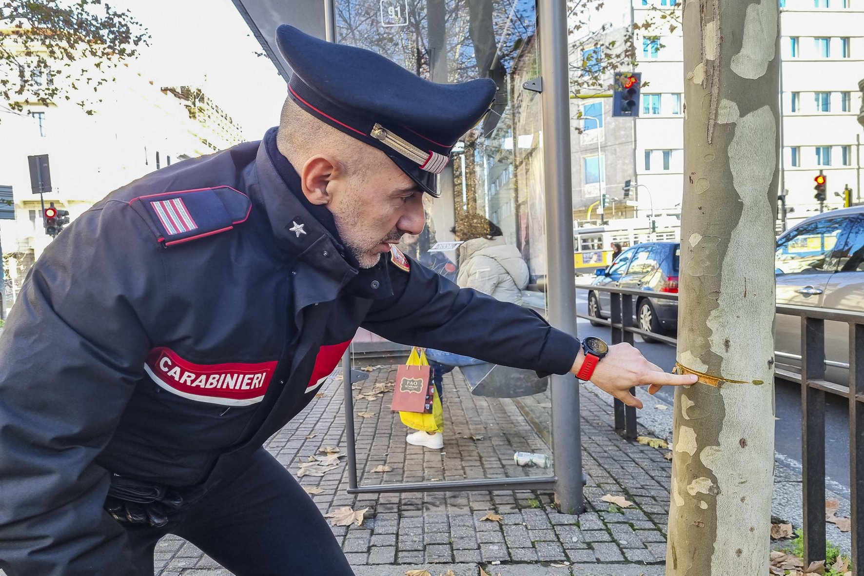 Cronache da un paese «disturbato» Cronache da un paese «disturbato»