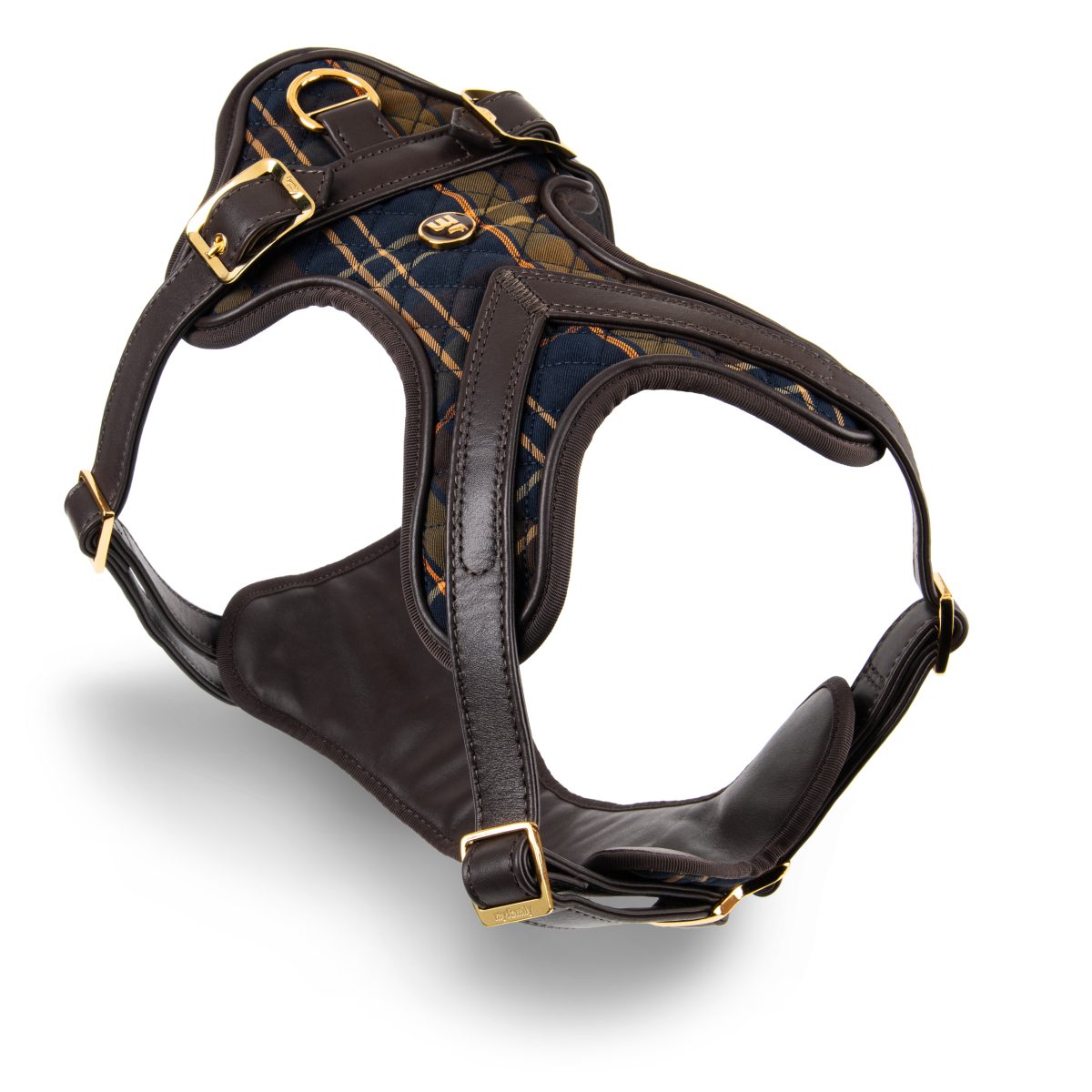 Galleria foto 'Il lato fashion del mondo animale va in scena a PittiPets' - foto 3