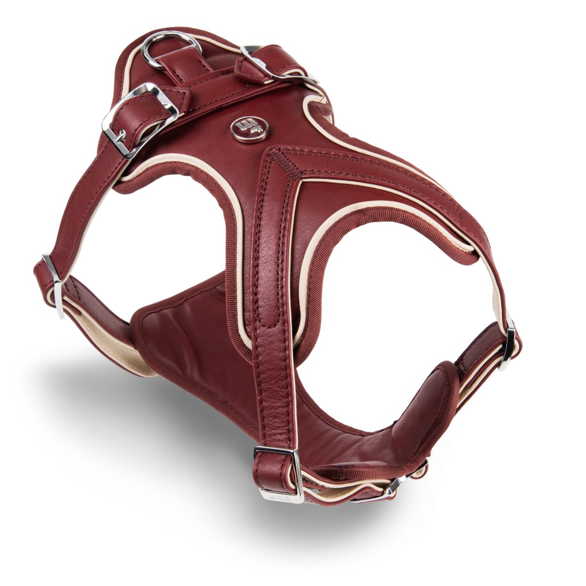 Galleria foto 'Il lato fashion del mondo animale va in scena a PittiPets' - foto 5