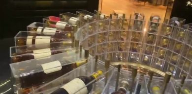 Le pillole di galateo di Petra e Carlo: il vino a tavola