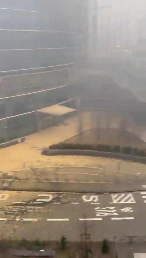 Bruxelles, la protesta degli agricoltori infiamma la città | video