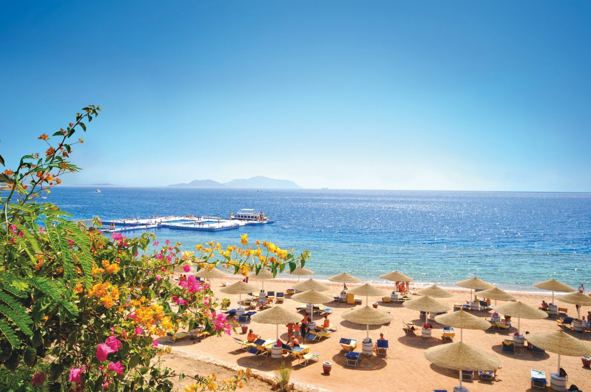 Dalla visione del passato ai progetti del futuro. La grande sfida del gruppo Preatoni Dalla visione del passato ai progetti del futuro. La grande sfida del gruppo Preatoni