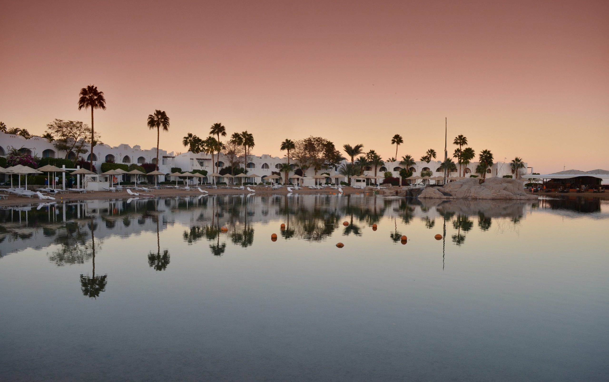 Dalla visione del passato ai progetti del futuro. La grande sfida del gruppo Preatoni Dalla visione del passato ai progetti del futuro. La grande sfida del gruppo Preatoni