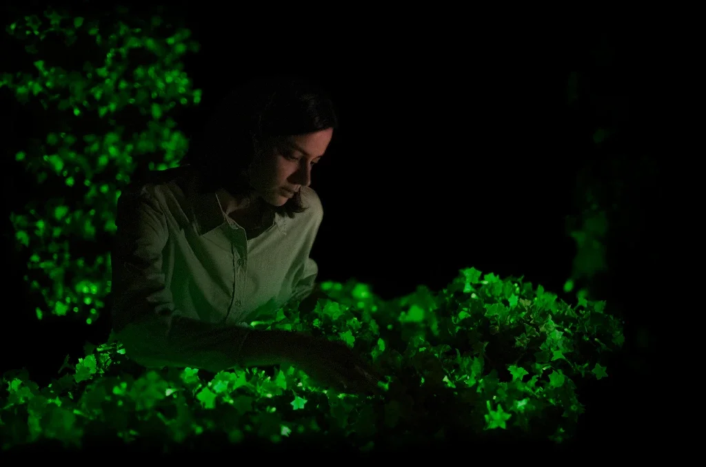 Le piante bioluminescenti illumineranno il mondo di domani Le piante bioluminescenti illumineranno il mondo di domani