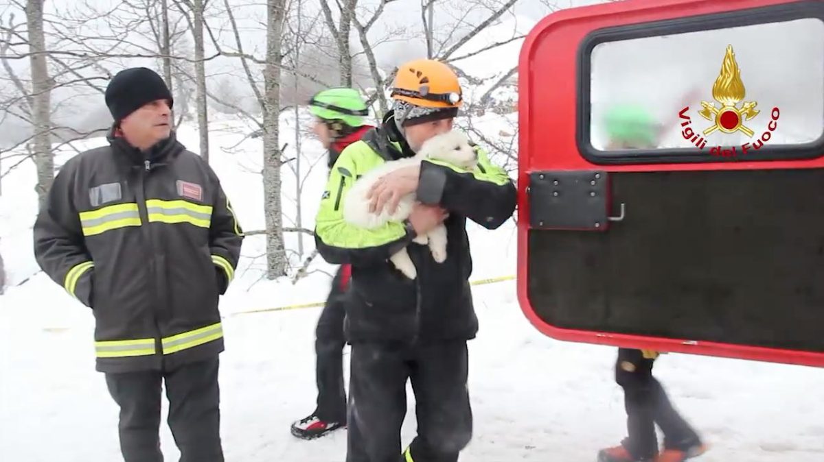 Galleria foto 'Hotel Rigopiano: tutte le vittime della valanga – FOTO' - foto 17