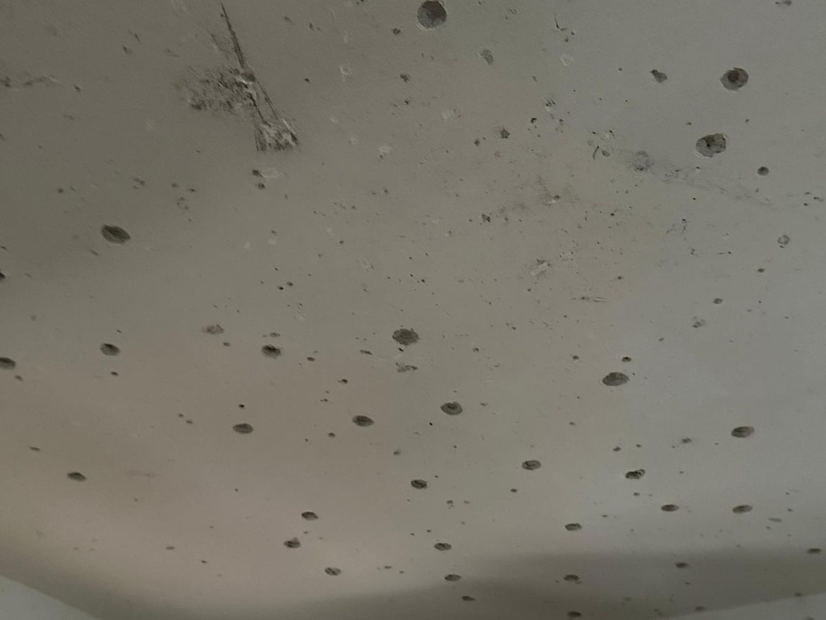 Diario di Guerra. Secondo giorno Diario di Guerra. Secondo giorno