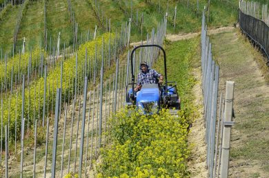 Le norme assurde dell’Europa che fanno arrabbiare gli agricoltori