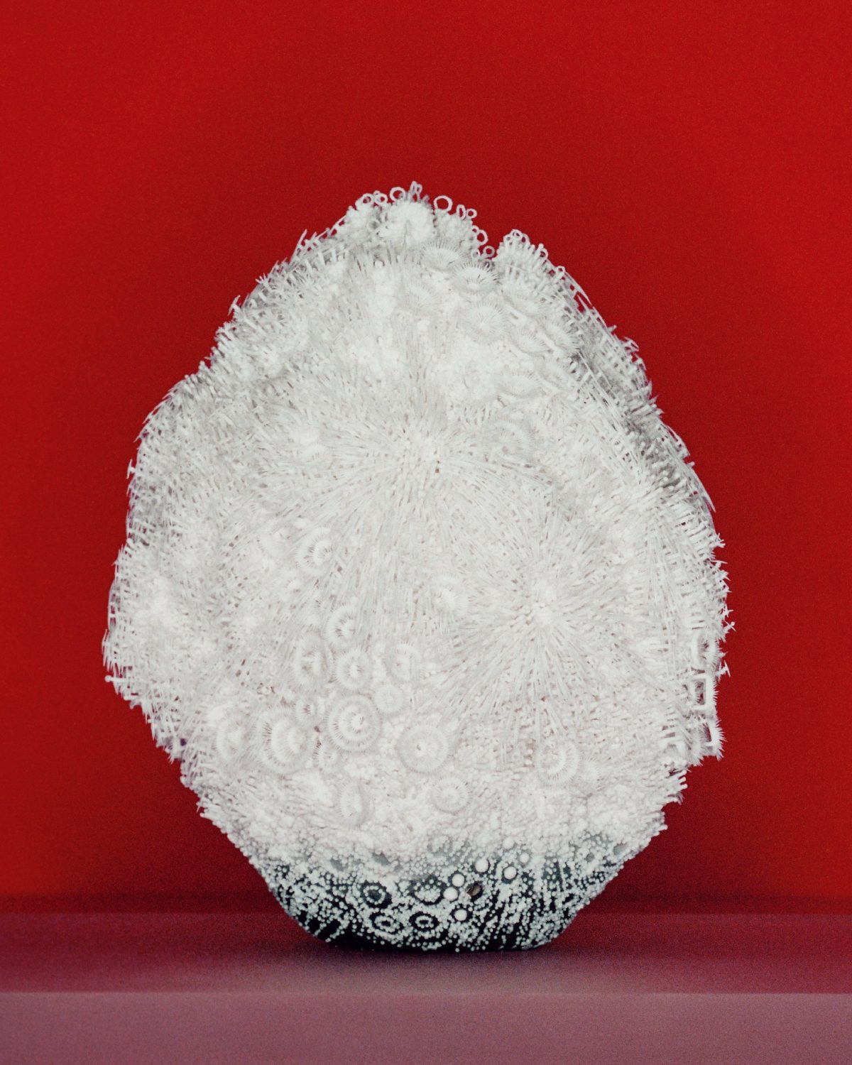 Galleria foto 'Crafted World: la mostra di Loewe apre a Shanghai' - foto 4