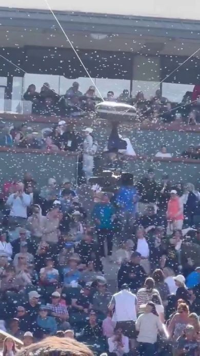 Invasione di api ad Indian Wells durante il match Alcaraz-Zverev | video