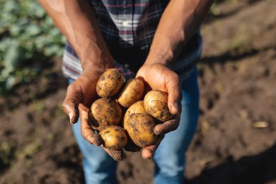 Potatoes Forever!: Quanto i consumatori conoscono le patate?