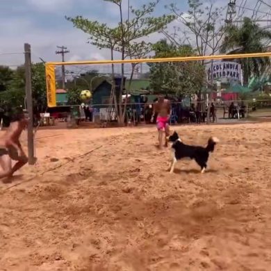 Una partita di beach volley speciale | video