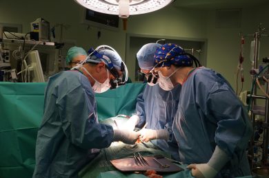 L’anno dei trapianti