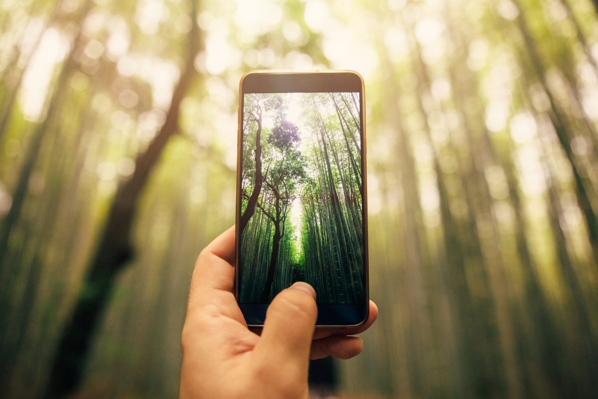 Galleria foto 'La tecnologia si tinge di verde' - foto 1