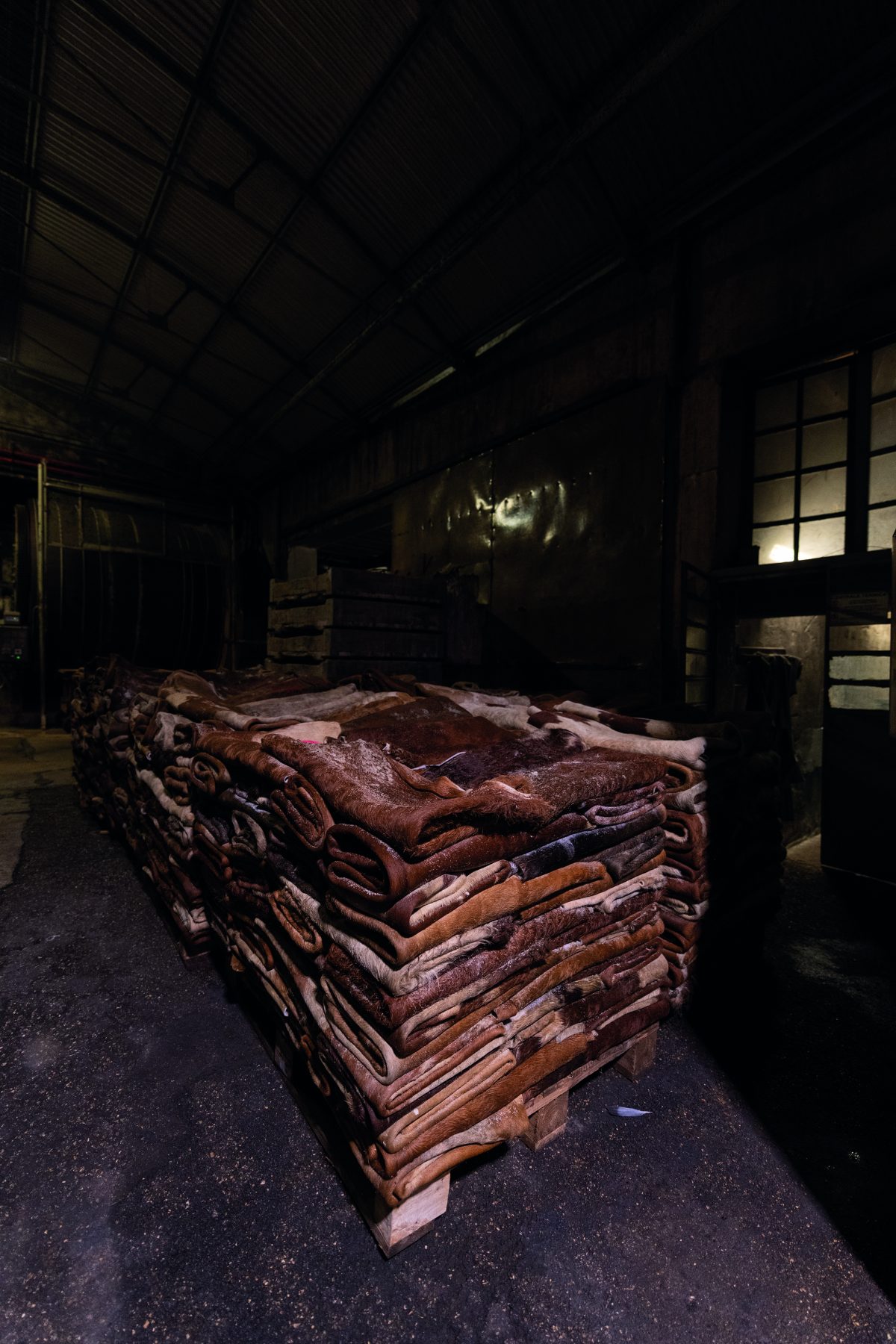 Galleria foto 'Un viaggio tra dieci esempi di Made in Italy' - foto 4