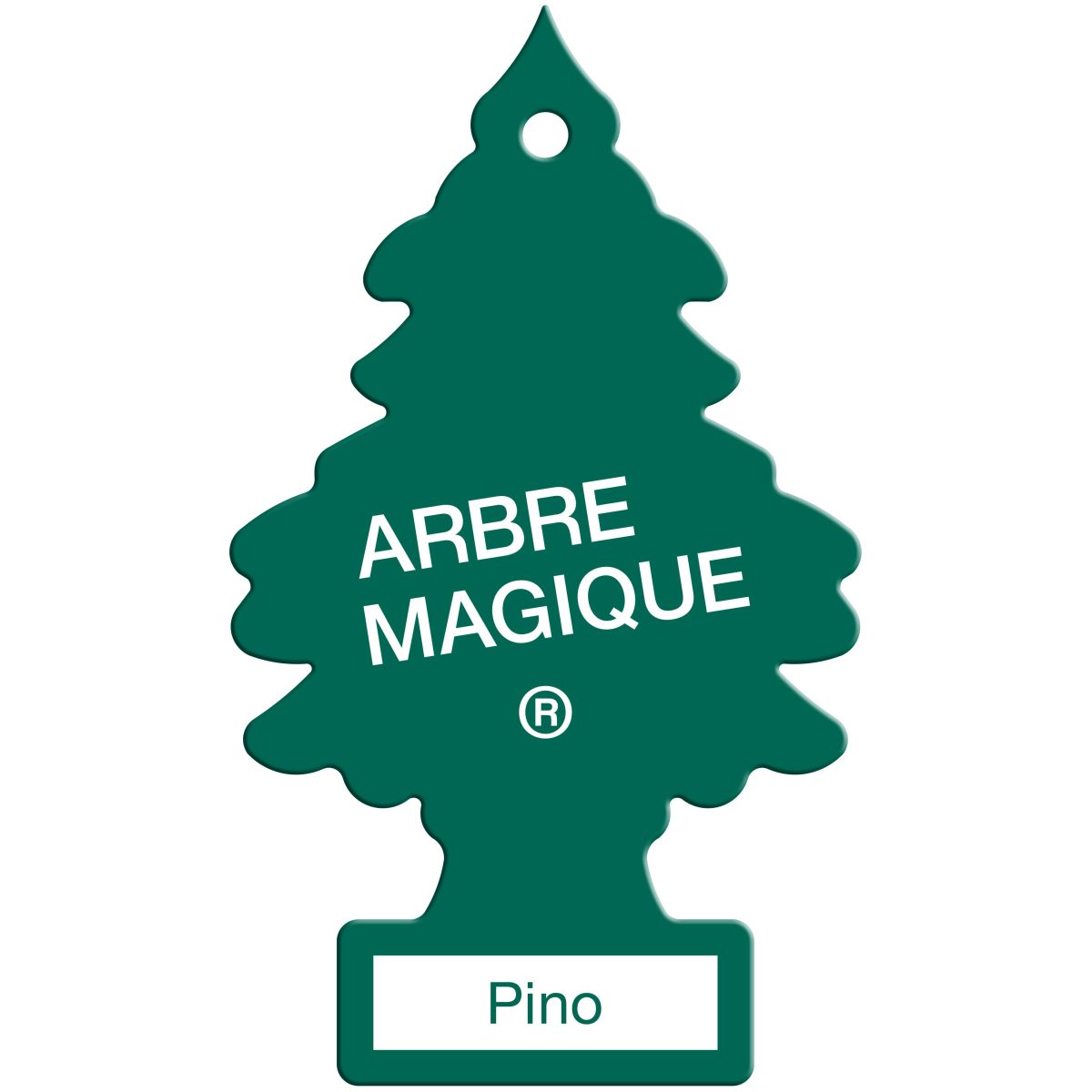 Galleria foto 'Arbre Magique: un viaggio che dura 60 anni' - foto 17