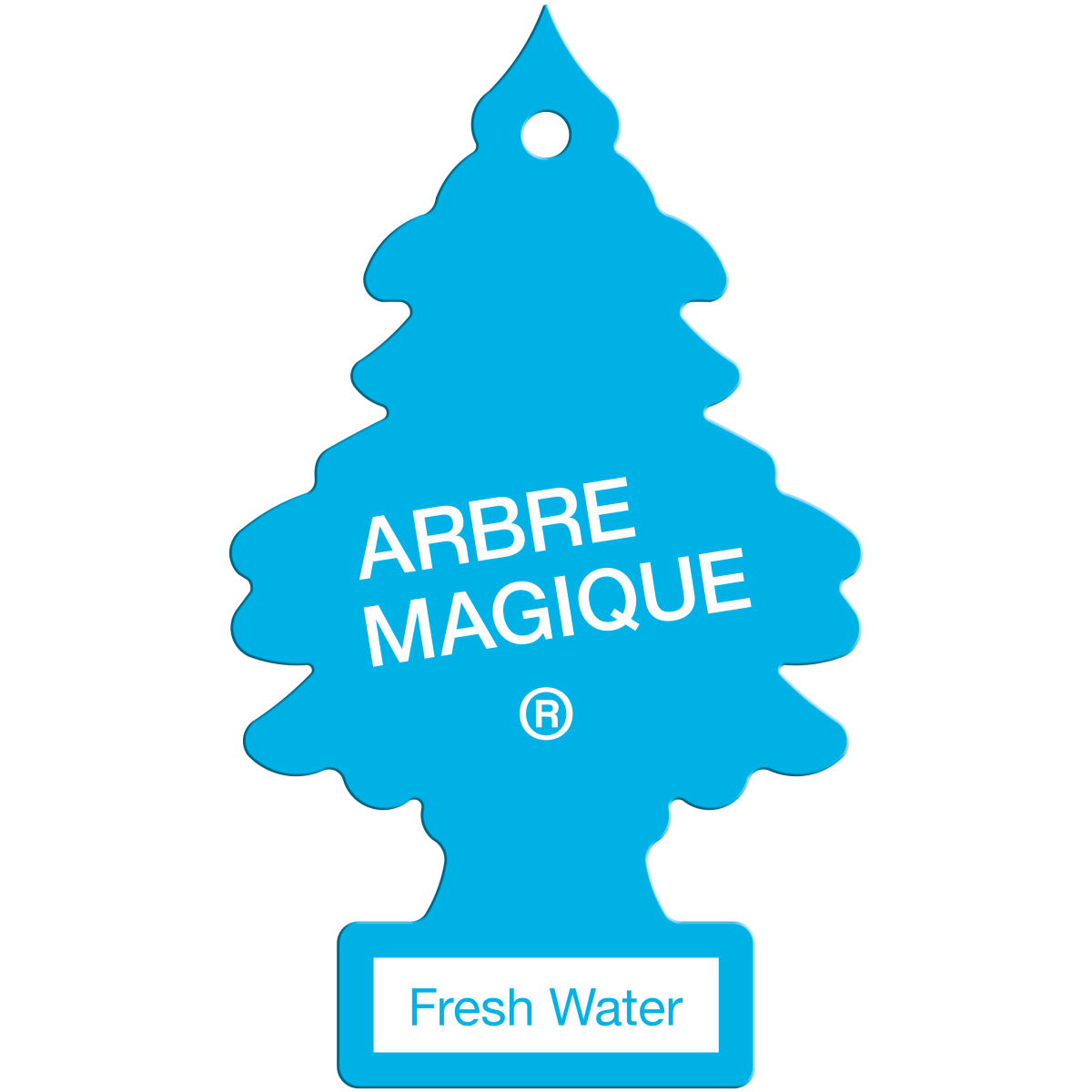 Galleria foto 'Arbre Magique: un viaggio che dura 60 anni' - foto 11