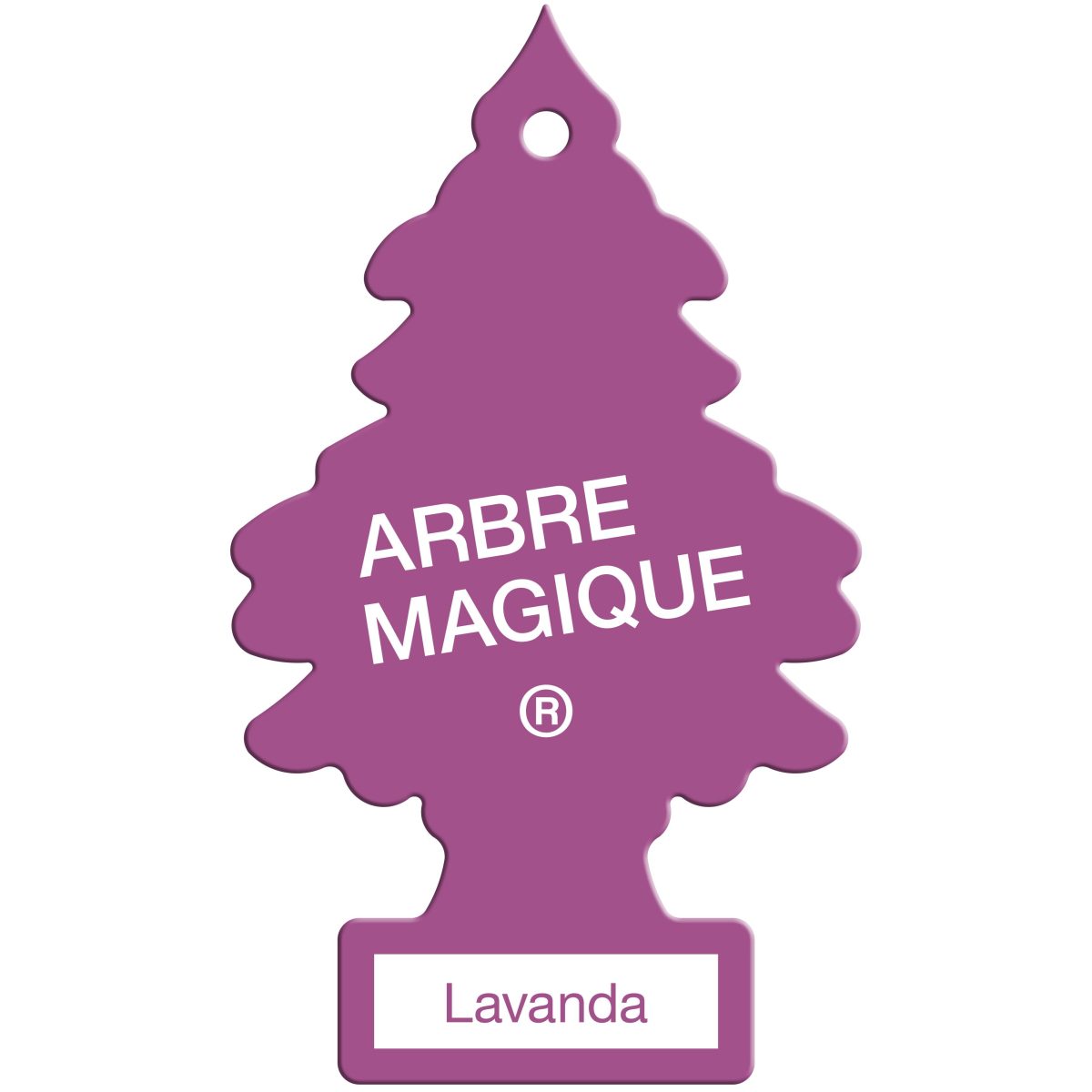 Galleria foto 'Arbre Magique: un viaggio che dura 60 anni' - foto 10