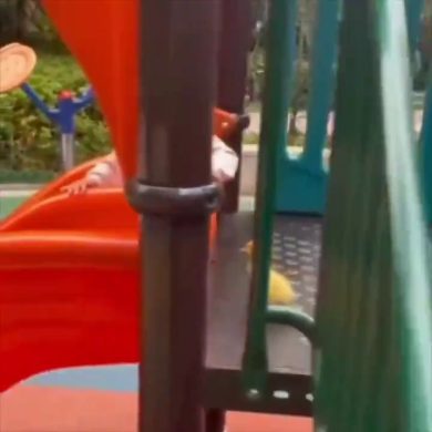 Il pulcino e lo scivolo | video