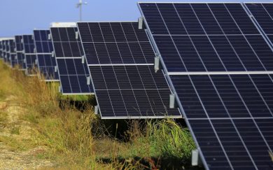 Il Green Deal è morto, viva il Green Deal