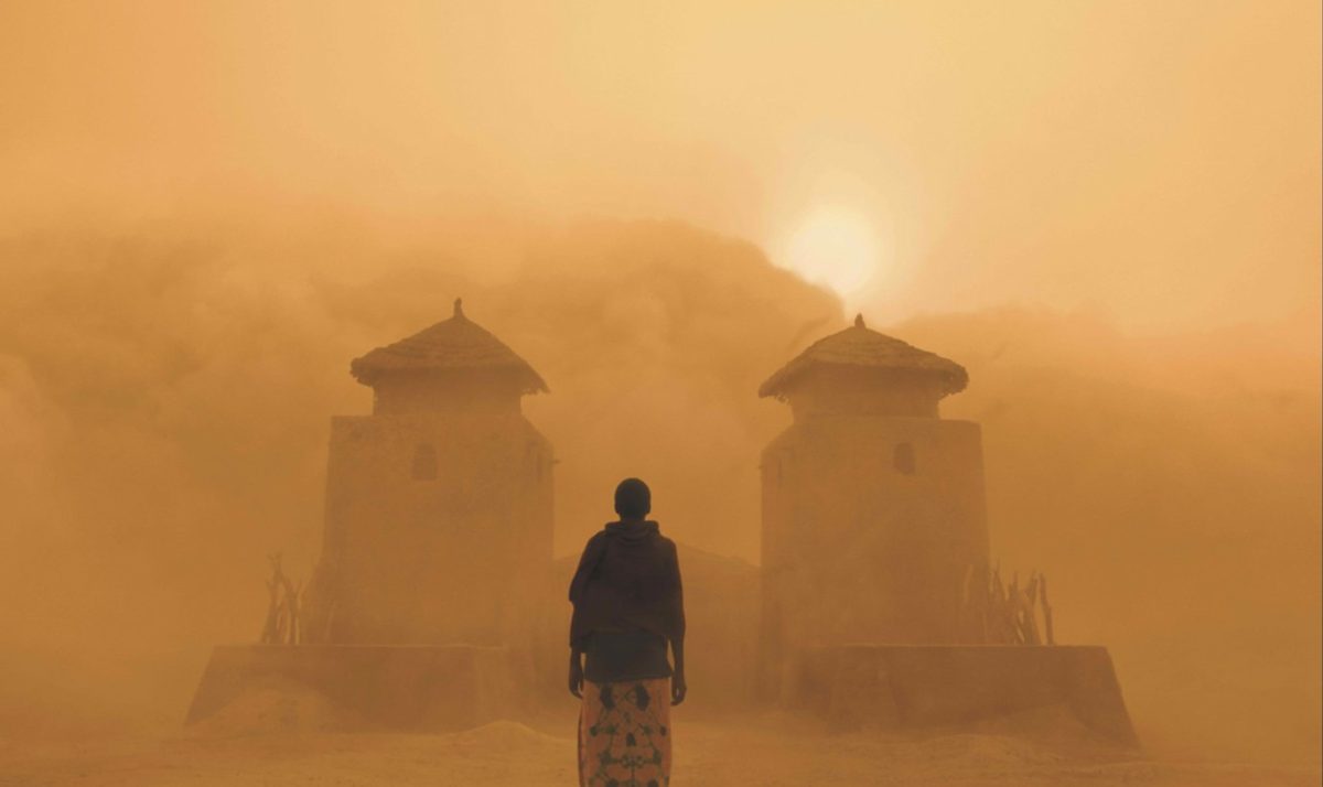 Galleria foto 'Mostre di Primavera' - foto 2