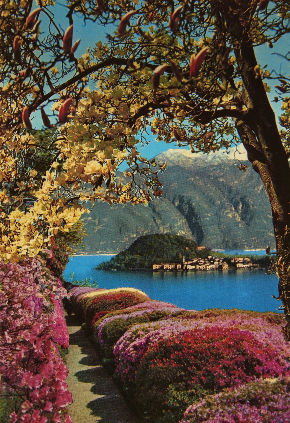 Galleria foto 'Mostre di Primavera' - foto 3