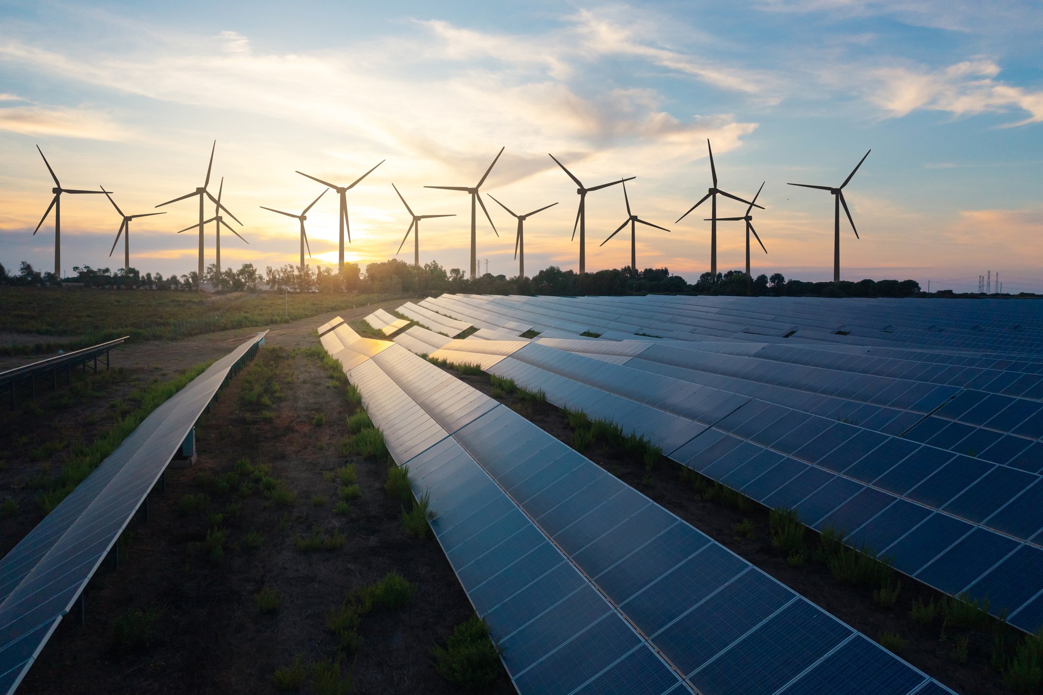 I furbetti delle rinnovabili I furbetti delle rinnovabili