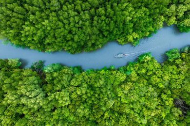 Obiettivo: difendere la Terra