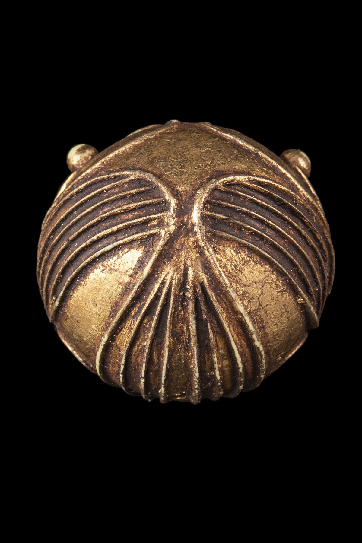 Galleria foto 'Collezionisti a caccia di oggetti del cinema' - foto 6